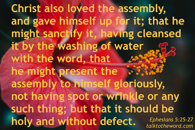 Ephesians 5:25-27