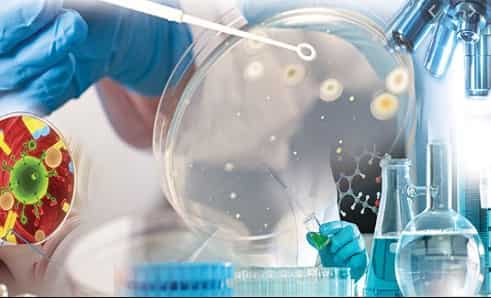 bs microbiology in pakistan