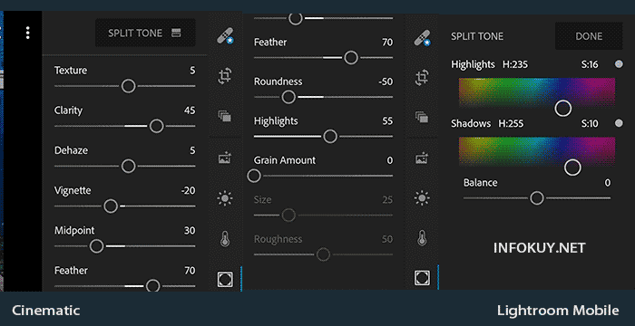 Rumus Lightroom Cinematic Ala Photografer Handal Infokuy