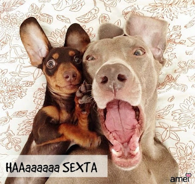 Frase de bom dia 6a feira. Blog Achados de Deoração