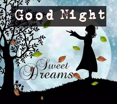 Good Night Images Good Night Images