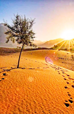 صحرا کتپناہ - دلکشی ، موسم اور سرد صحرائی اسکردو کا قدرتی مقام Desert Katpana - Attractive, Weather And Cold Desert Skardu Natural Place