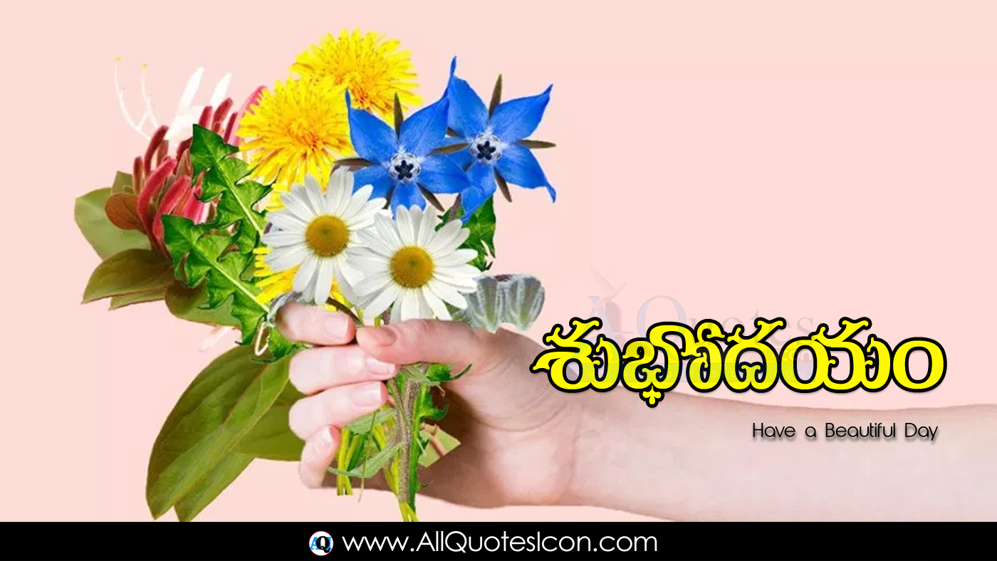 25+ Beautiful Telugu Good Morning Images HD Wallpapers Top Latest New