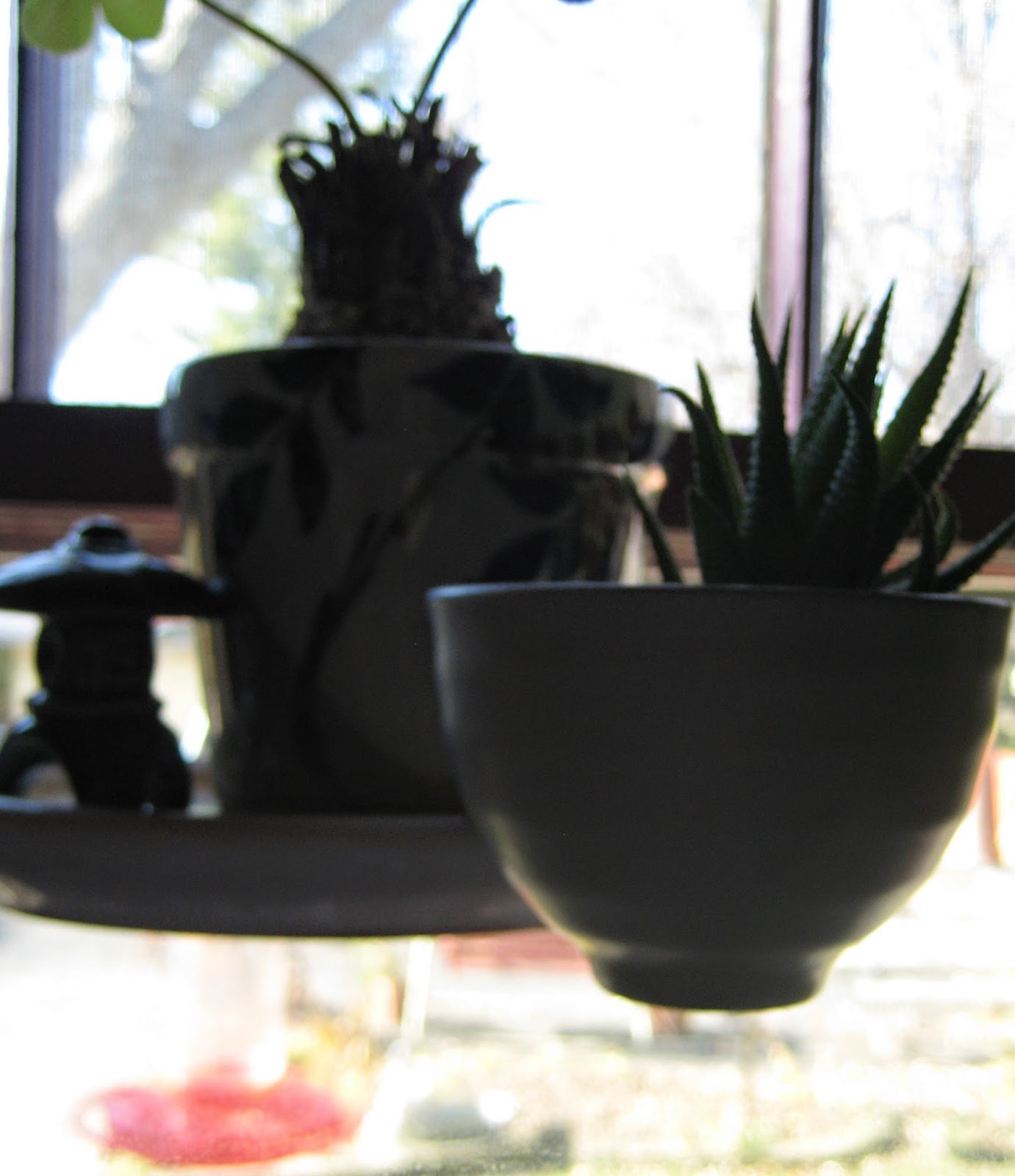 Spring Fever- garden window project and house plants in vintage pottery