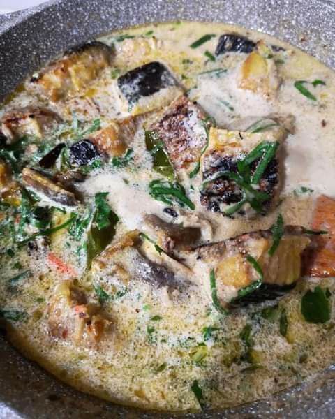 photo6258084619962396714.jpg (480×600)