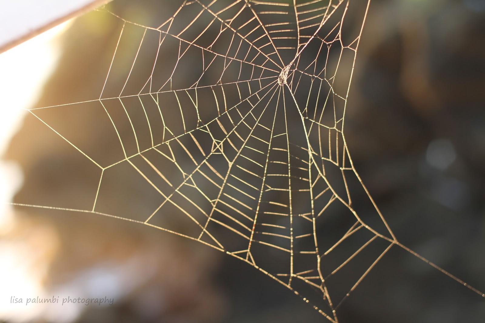 la famiglia what a tangled web we weave...