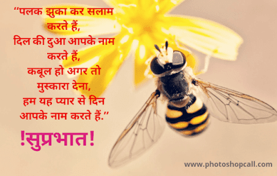 good-morning-nature-image good-morning-nature-image