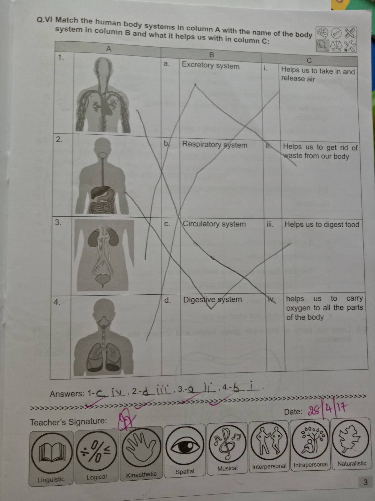 PIS VADODARA STD 4 EVS HUMAN BODY SYSTEMSWORKBOOK AND PIS VADODARA STD 4 EVS HUMAN BODY SYSTEMSWORKBOOK AND