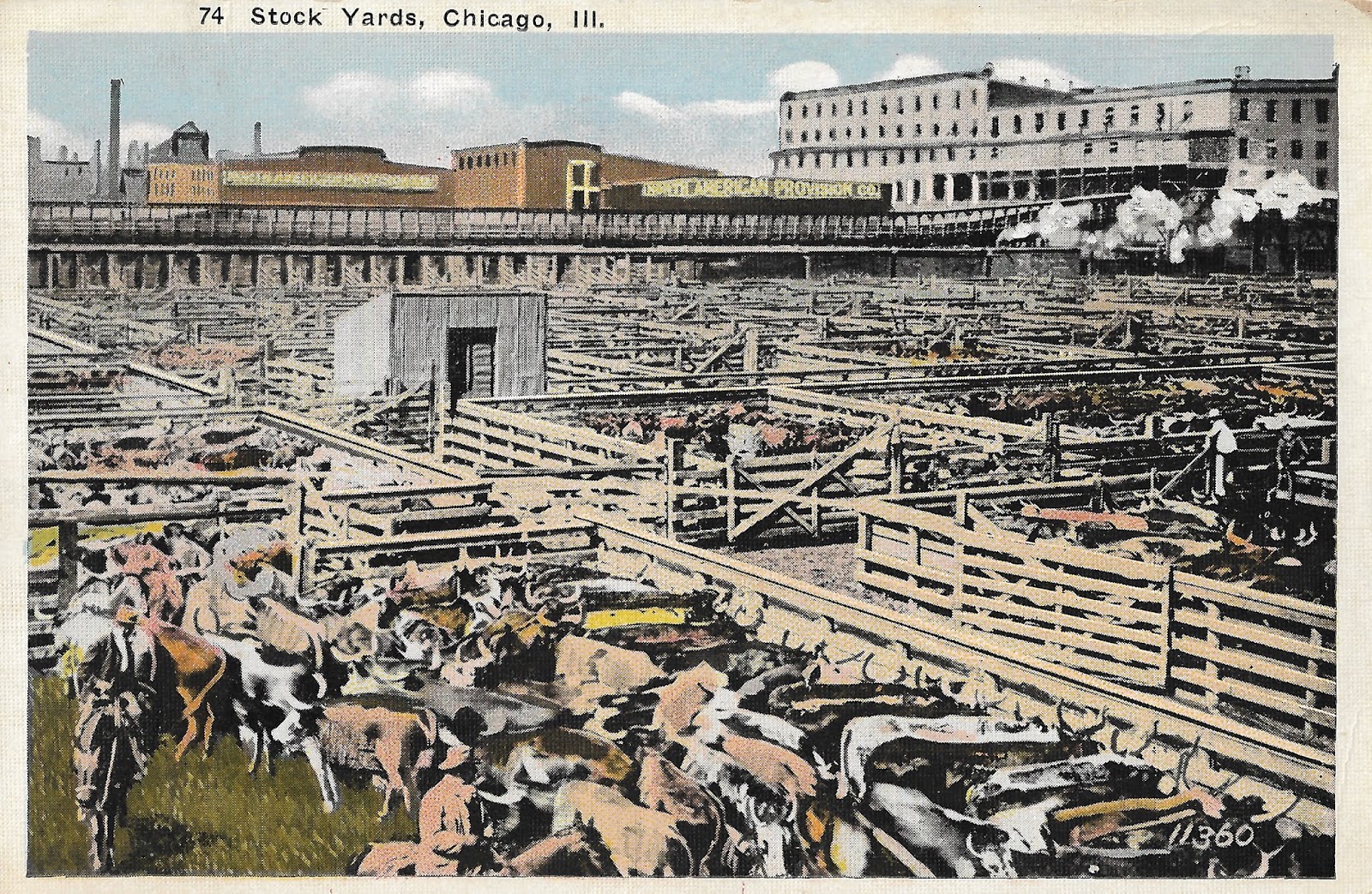 Moo & Oink, The Union Stock Yards of Chicago