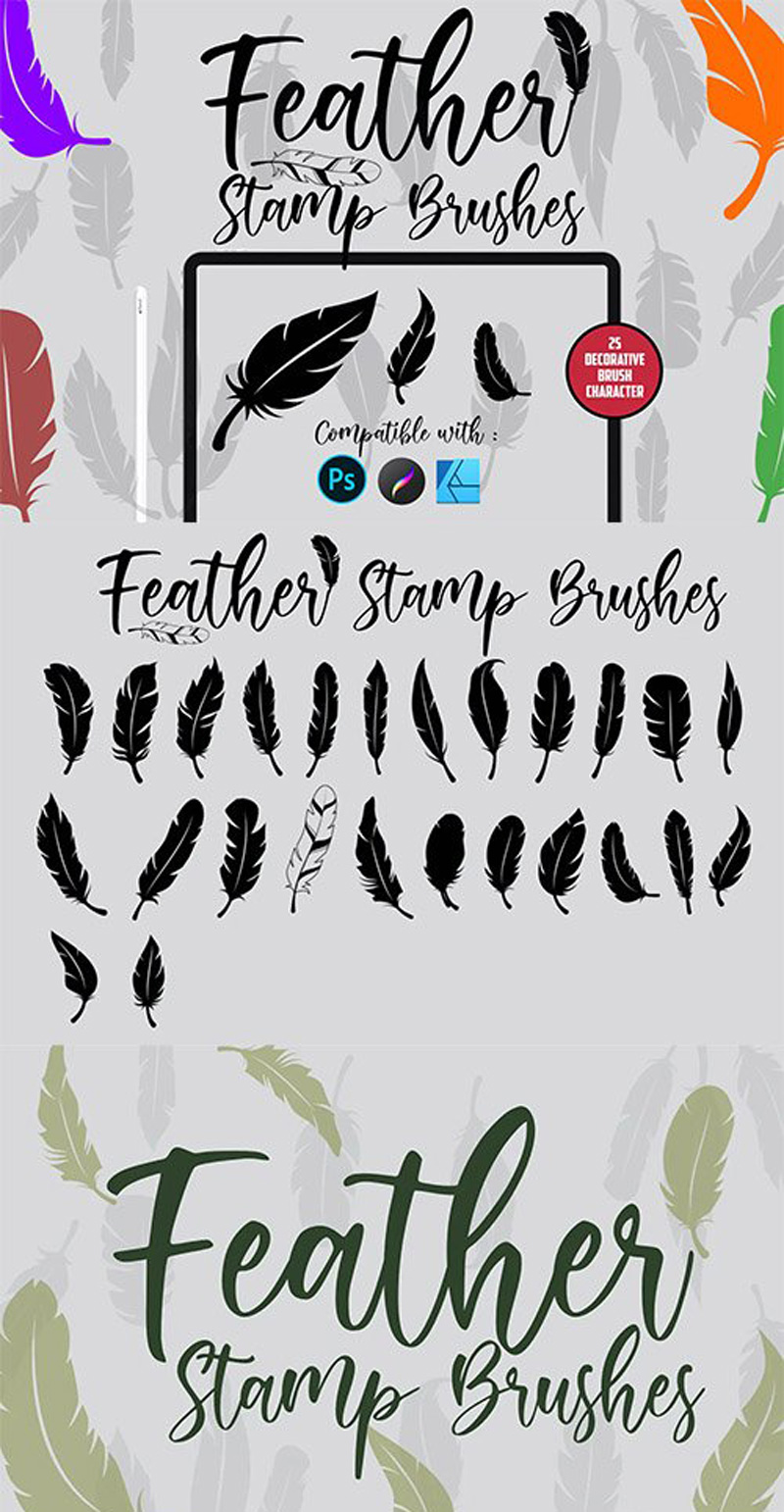 Feather | Stamp Brush 2 gs