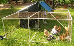 pvc pipe chicken plans pen pipes outdoor living pasture gardening coop portable op build building garden pens chickens