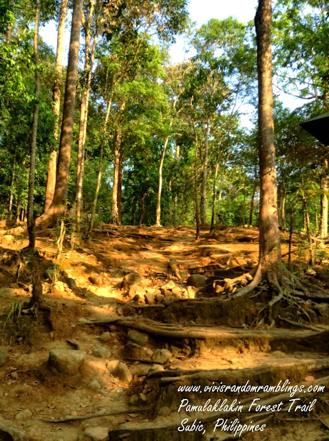 Pamulaklakin Forest Trail, Subic