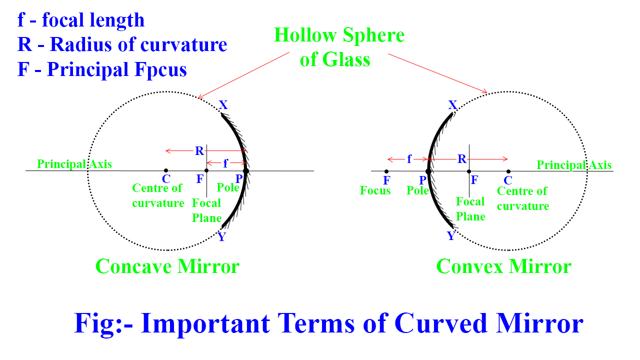 Curved Mirror definition, types, uses, important terms... Qsolution