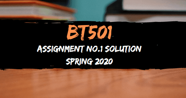 Mgt502 assignment 2021 image