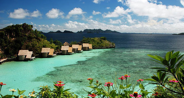 Harga Tiket Masuk dan Lokasi Taman Nasional Karimunjawa Jepara Terbaru