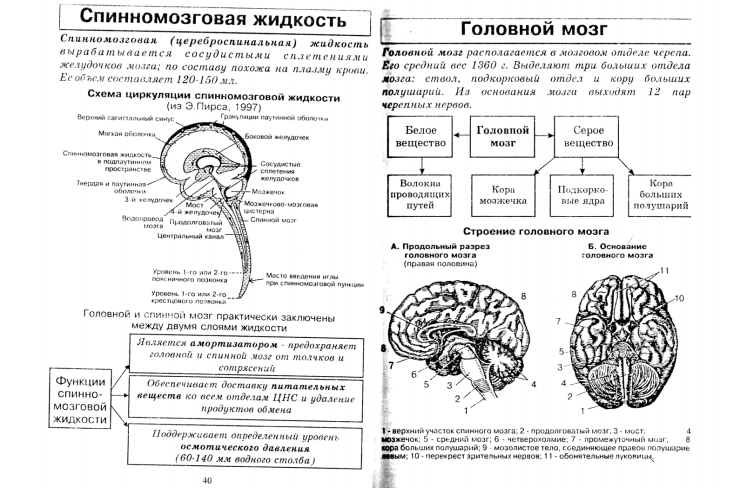 Биология 8 класс в схемах и таблицах