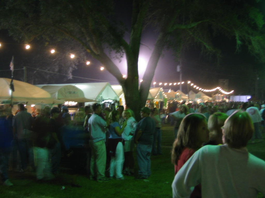 Boggy Bayou Mullet Festival The Passport Stamp Collector Blog