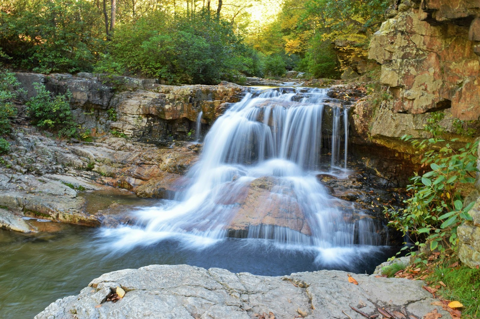 summer tours virginia