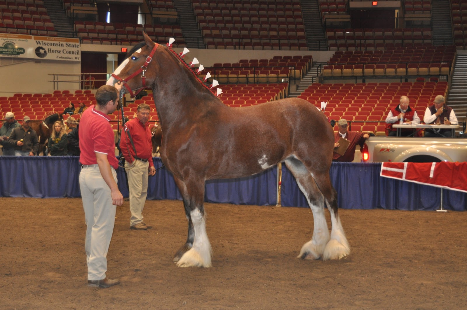 World Clydesdale Show Sale Photos