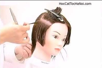 Video Học Cắt Tóc cơ bản Kiểu, Basic Haircut High Gradation