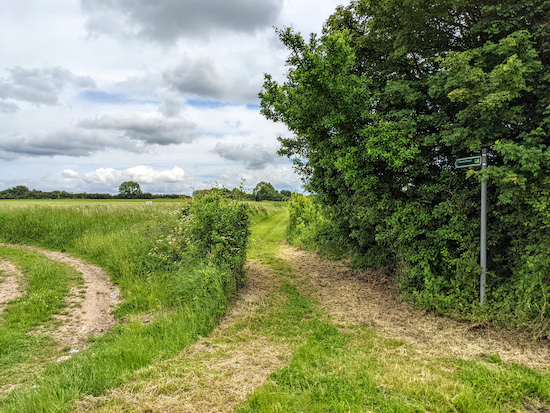 Nuthampstead bridleway 6 heading SE Nuthampstead bridleway 6 heading SE