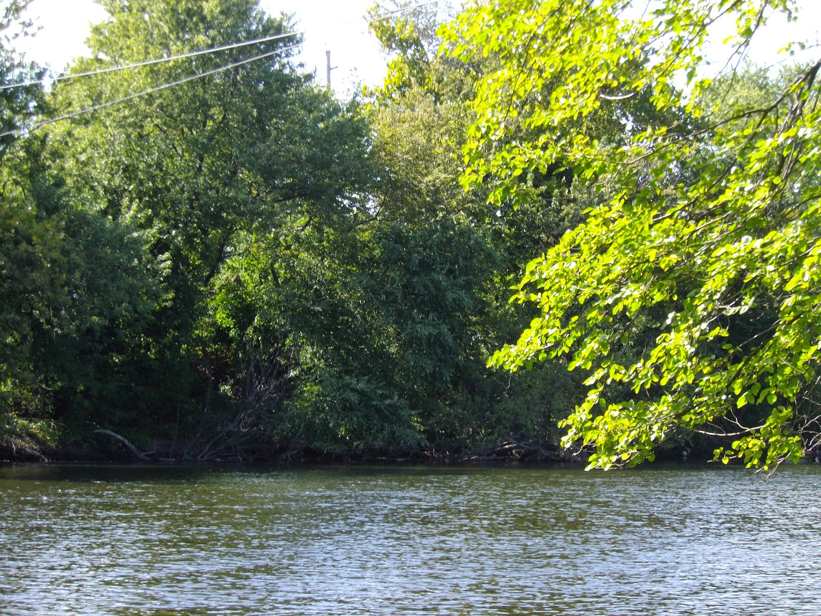 The Great Lakes of NYC: Passaic River at Radburn, New Jersey