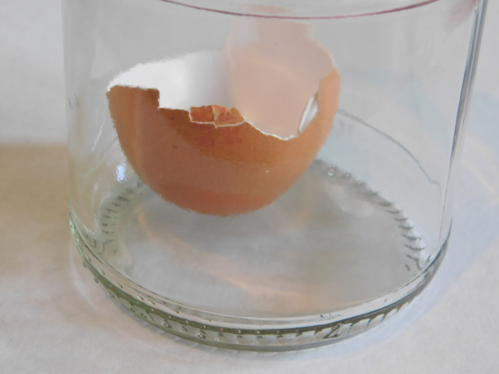 Disappearing egg shell