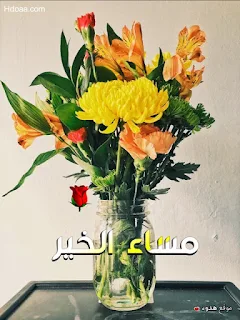 مساء الخير, صور مساء الخير, صور, مساء الخير