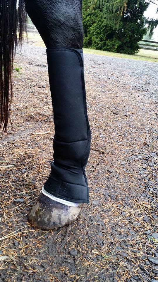 Behind the Bit Harvey's new leg wraps