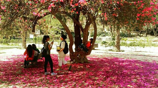 The garden of Restaurants- Lodhi Garden for couples in delhi