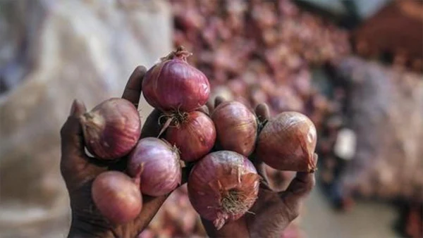 Onions Worth Rs 22 Lakh Stolen From Transport Truck As Prices Skyrocket, News, Business, Theft, Complaint, Police, Probe, National, Maharashtra