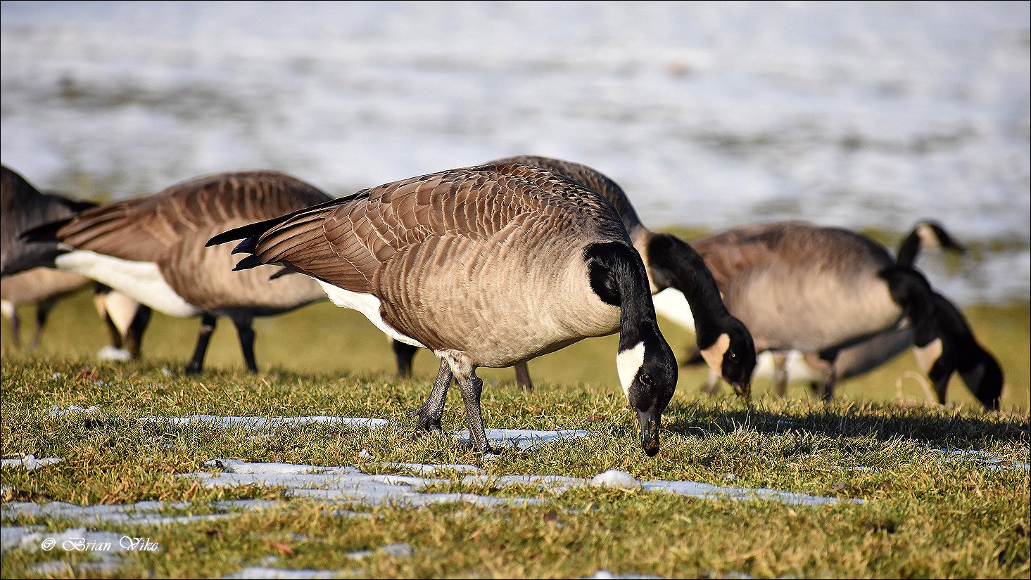 Photos From Around Kamloops & Area British Columbia Canada. (Over 2,858