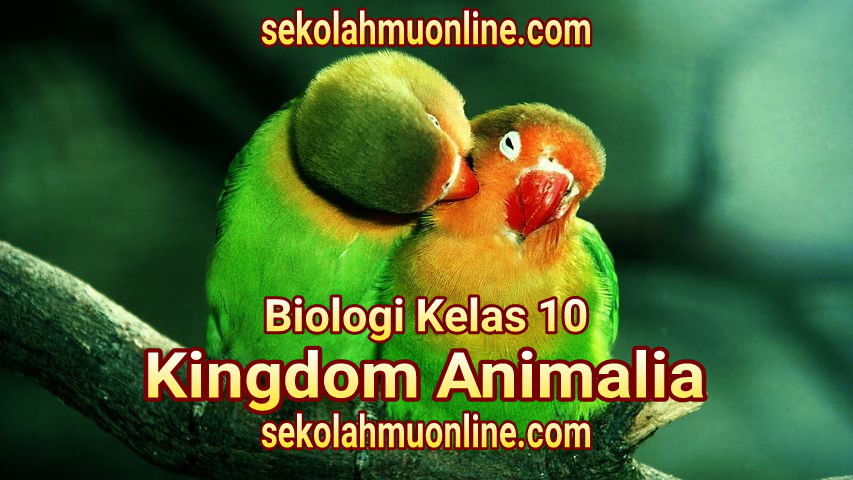 Contoh Soal Pilihan Ganda Biologi Kelas 10 Bab 8 Animalia (Kingdom Animalia)