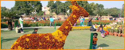 Static Awareness: An Insight Into The Indian States (CHANDIGARH) |_3.1