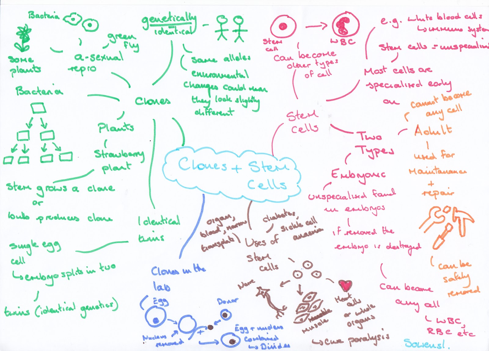 RevisionAid For those doing retakes......Biology B1