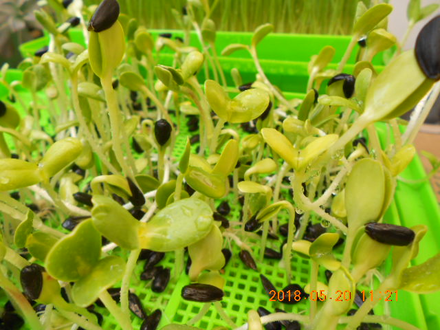 ����,����l,�g�A�V�鸪�ؤl,�V�鸪��Ϥ�,�V�鸪��,�V�鸪,�V�鸪�l,�V�鸪�ؤl,���L�Q�V�鸪�ؤl,�V�鸪��ؤl