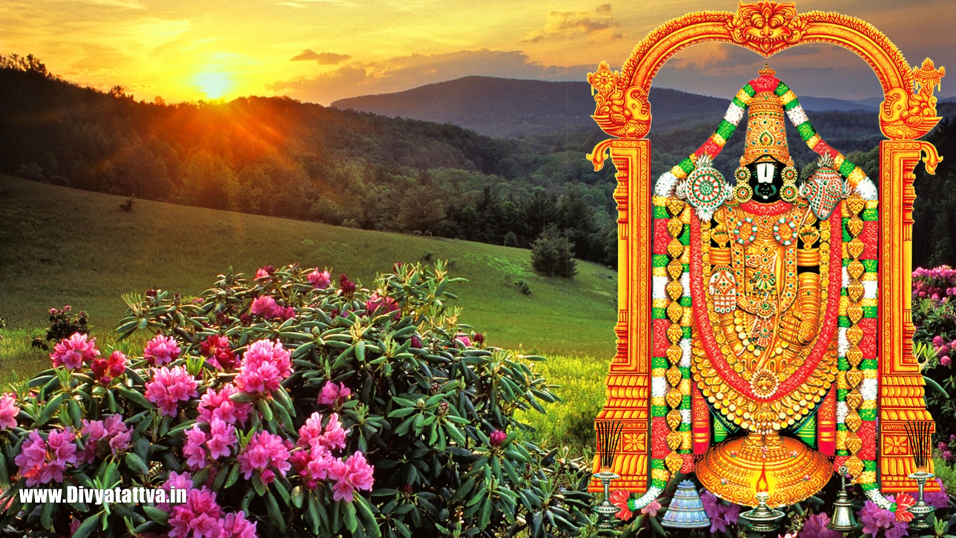 Tirupati Balaji  God  Tirupati Wallpaper Download  MobCup