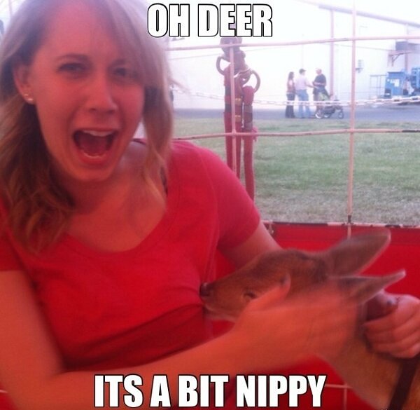 Oh My Freaking Stars! Bit Nippy