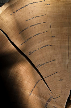 Tree Rings and History