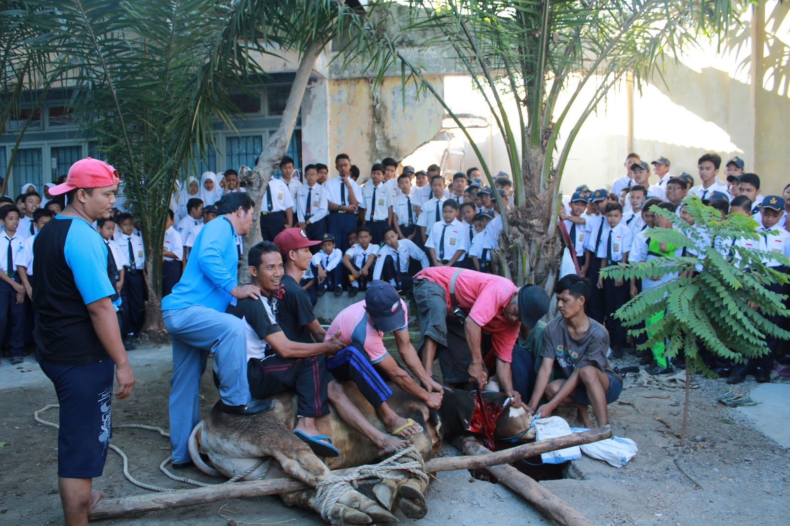 PELAKSANAAN HARI RAYA IDUL ADHA SMPN 20 SURABAYA SMP