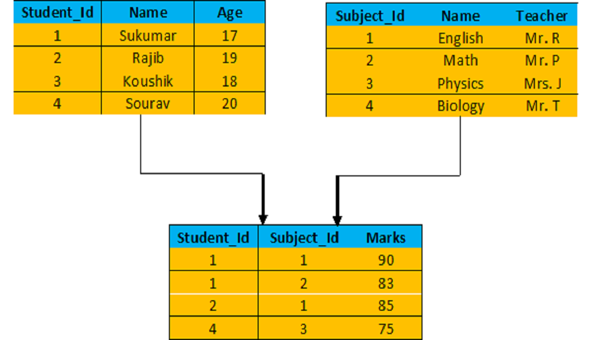Introduction and Types of the Database Model in DBMS