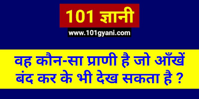 know Facts About Camel in hindi, gk, interesting gk, puzzles, riddles in hindi