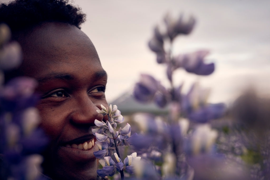 The Best Flower Delivery Services in Zimbabwe with Flowers in Zimbabwe!