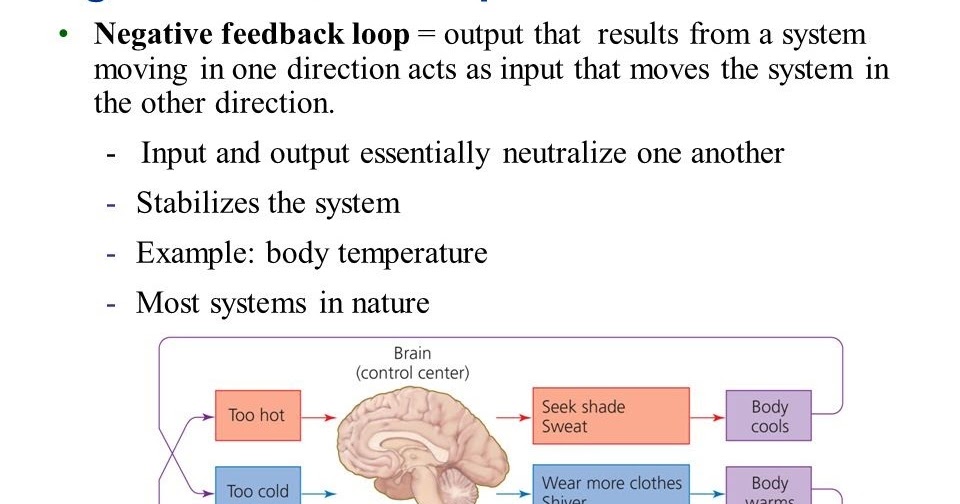 Negative Feedback Nature of Most Control Systems