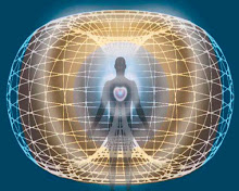 Toroide del cuerpo humano