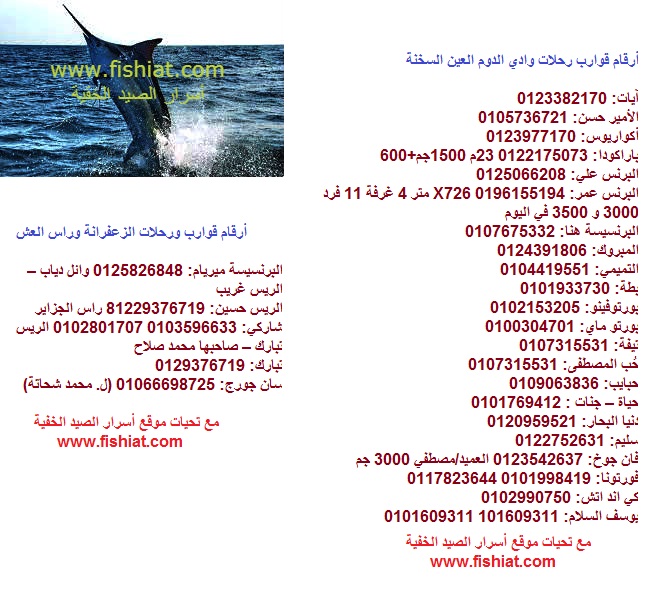 حجز رحلات صيد البحر الأحمر أسرار الصيد الخفية