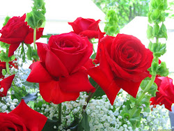 dp whatsapp rose flowers flower fresh