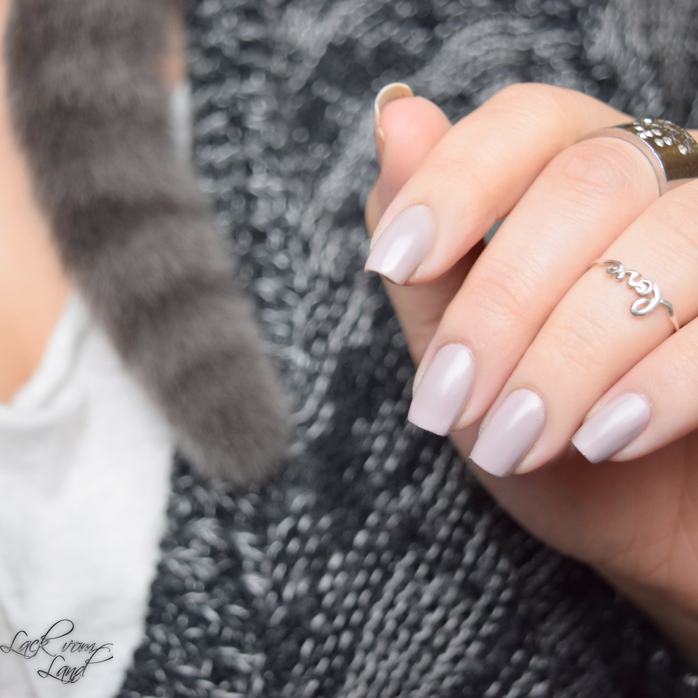 [Specialties] Lack, der zur Lieblingskleidung passt – ANNY • top