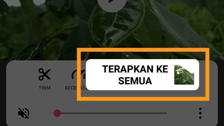 Cara menghilangkan tulisan inshot