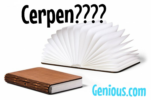 Dunia Sastra Pengertian Cerpen Beserta Struktur Ciri Ciri Dan Unsur Unsurnya